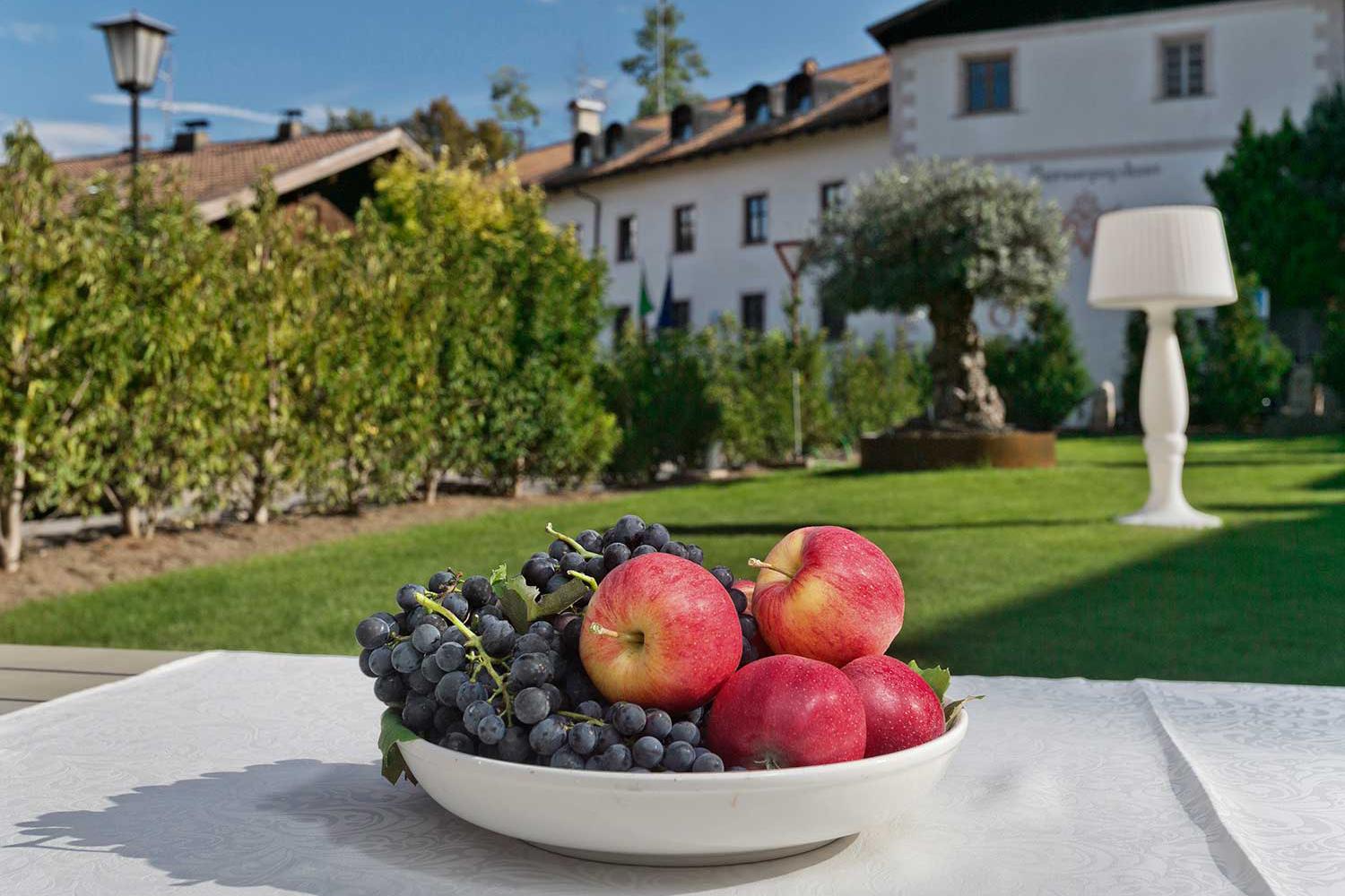 Garten mit Liegewiese / Schlosserhaus 31 